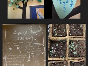 2023 green school app final (52)